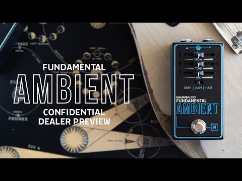 Walrus Audio Fundamental Series Ambient Reverb 2024 - Black image 5