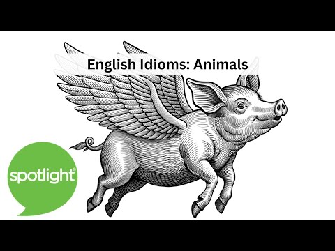 English Idioms: Animals | practice English with Spotlight