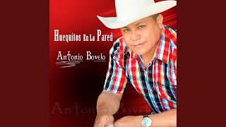Video Me Robé La Tucusita (Audio) de Antonio Bovelo