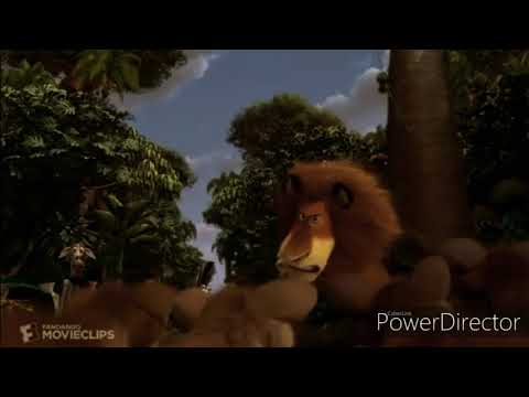 What about the The Fossas as Wolf Pack