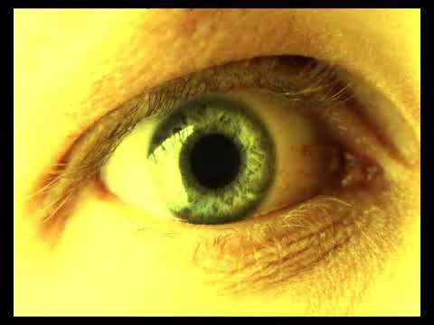 Metallica   The Best Ballads