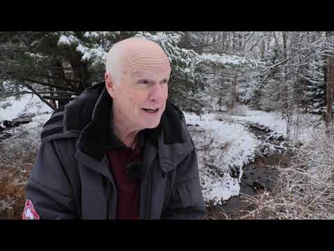 Un texto que parece ser difícil - 1 Pedro 4:6