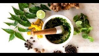 ACUPUNTURA CURITIBA - PLANTAS MEDICINAIS BRASILEIRAS