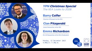 Young Professionals Network: The IIEA Looks to 2026