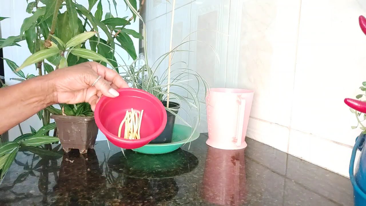 Hoje estou rouca.