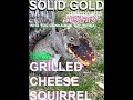 Solid Gold - Who You Gonna Run To? (Remix) Starring: Grilled Cheese Squirrel (Official Video)
