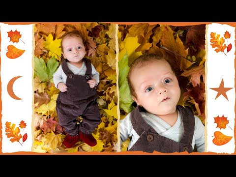 The rustling of autumn leaves 🍂 Sleeping Sound Baby For Sleeping ... 🧡💛