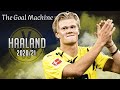 Erling Haaland ● The Goal Machine Skills & Goals ● 2020/21 |HD