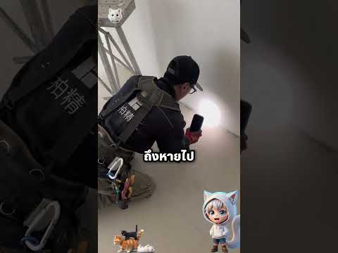 พื้นสวย แต่น็อตหายหมด