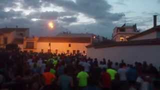 preview picture of video 'I Carrera Nocturna CAMAGC Mairena del Alcor'
