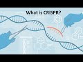 Quick learning of CRISPR/Cas9 