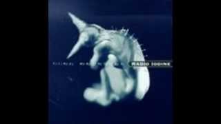 Radio Iodine - Things I Do