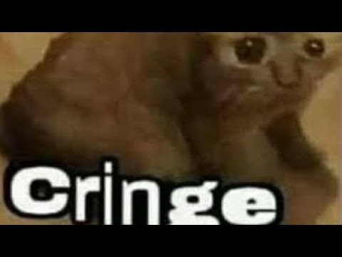 HOWARD GARAGE ELEVATOR WITH EXTRA IDIOCY