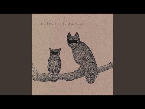 Bad Drugs And Minor - Neil Halstead