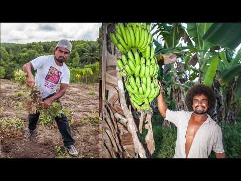 O CABOCLO DO SAPÊ - trailer