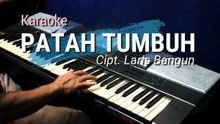 Download lagu PATAH TUMBUH HILANG BERGANTI | Karaoke lagu karo mp3 Download lagu PATAH TUMBUH HILANG BERGANTI | Karaoke lagu karo mp3