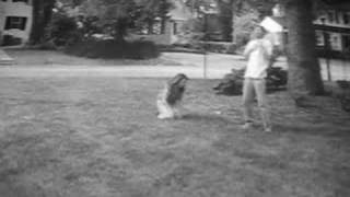 Late Night Fandango Movie - Scene 6/6