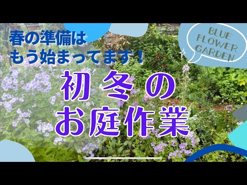 耐寒性常緑低木：冬の庭を彩る4つの植物  庭園