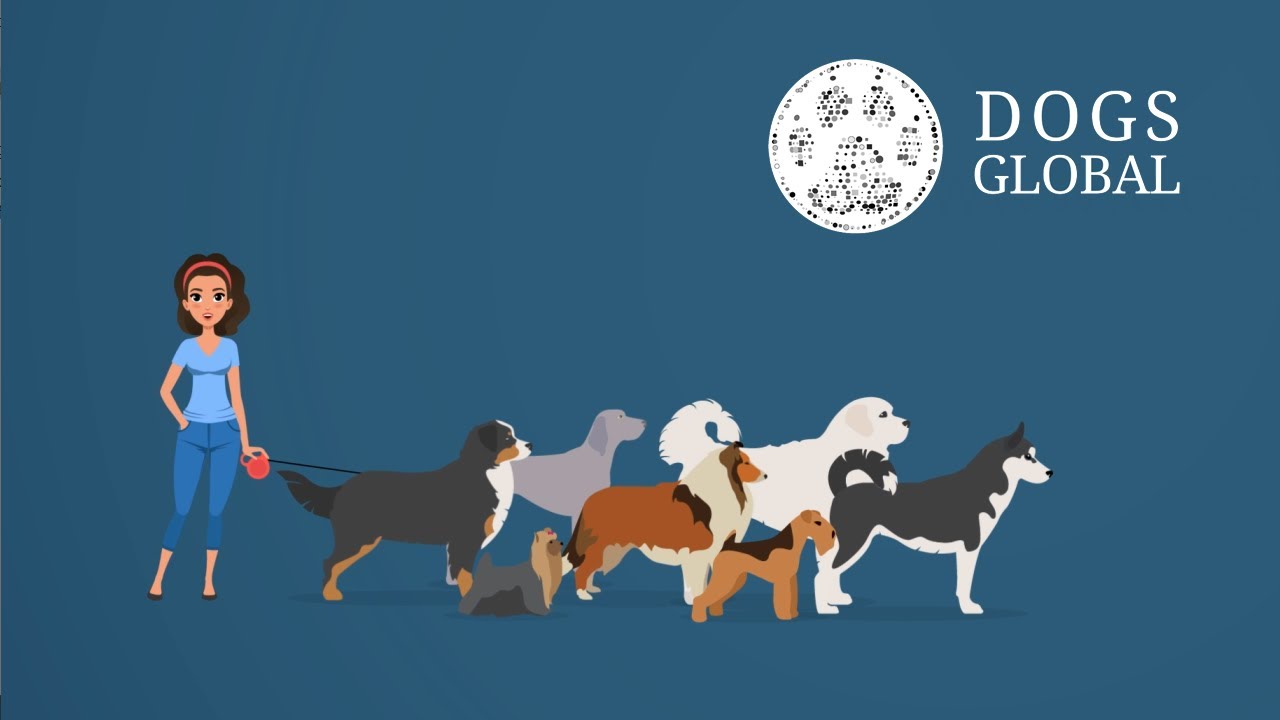 DogsGlobal Video Presentation
