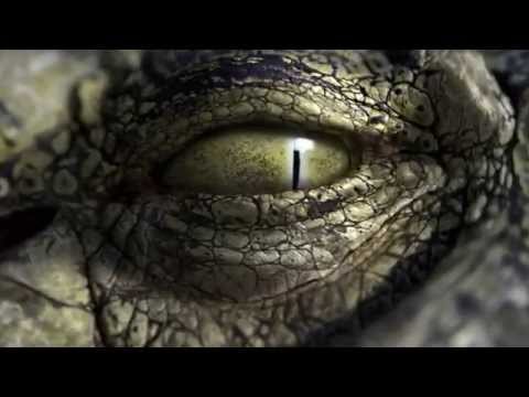 Trailer-Vorschau: Robocroc