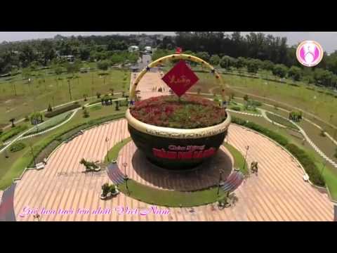 Du Lịch Đồng Tháp Góc Nhìn Flycam