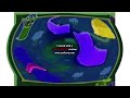I KILLED MAP SEASON 1 EPISODE 1 IN G MAJOR 7