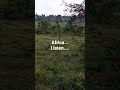 Africa Nature Sounds #africa #african #nature #sightseeing #sightandsound