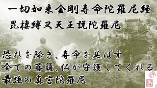 一切如来金剛寿命陀羅尼経　毘棲縛叉天王説陀羅尼　すべての仏と菩薩が加護してくれる最強の真言陀羅尼６篇の内の一つ　多くの人々に施すと大きな功徳が得られる真言唱えて気分転換　JAPAN　PRAY