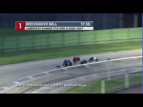 2020 LADBROKES STAYERS CLASSIC - HEAT 3 - T1 BEECHGROVE BELL