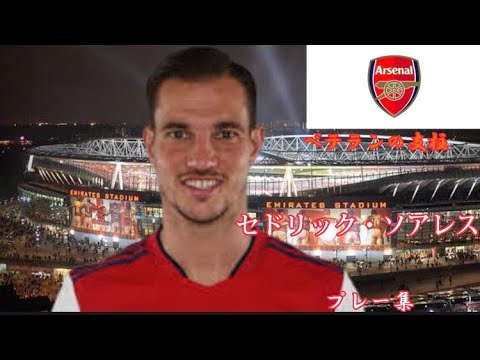 セドリック・リカルド・アルヴェス・ソアレス-Cédric-Ricardo-Alves-Soares-プレー集