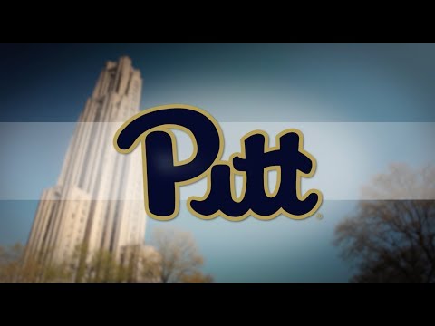 Welcome To Pitt 2017