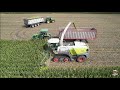 Chopping Corn Silage at Windy Ridge Dairy in Northwestern Indiana