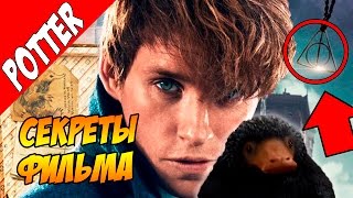 Пасхалки и секреты фильма Фантастические твари и где они обитают