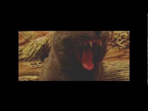 5:dubcat.Senya version