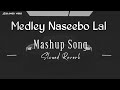 Medley Mashup (slowed Reverb) with Naseebo Lal most trending song Mashup