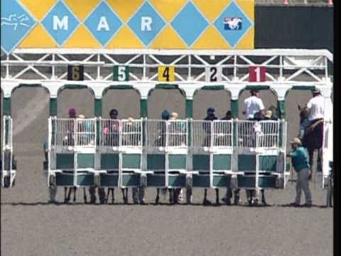 Race 2 (C.E.R.F. Stakes) (9/8/2010)