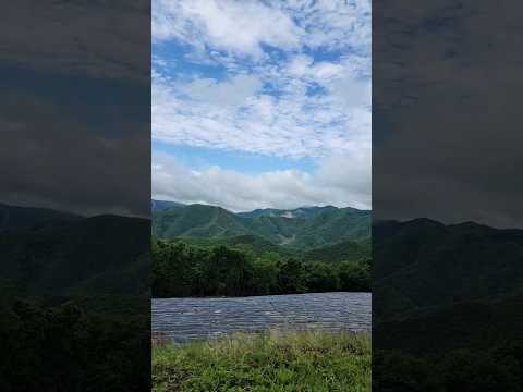 스트레스 해소에 탁월한 드라이브 코스 소개