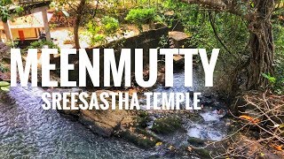 preview picture of video 'Meenmutty SreeSastha Temple Tholikuzhi kerala'