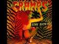 The Cramps - God Damn Rock'n'Roll 