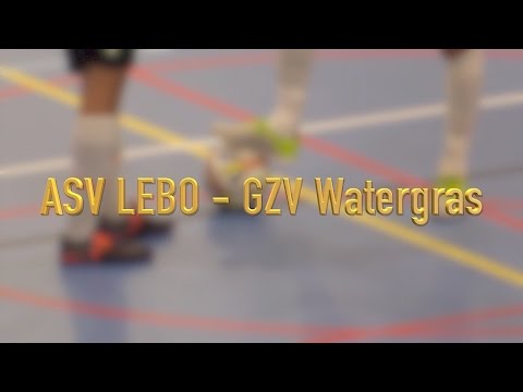 Eredivisie Zaalvoetbal: ASV Lebo -  GZV Watergras