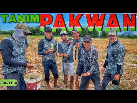 EP893-P2 - Muling Pagtatanim ng Pakwan