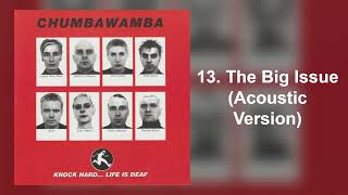 Chumbawamba - Knock Hard... Life Is Deaf (13. The Big Issue [Acoustic Version])