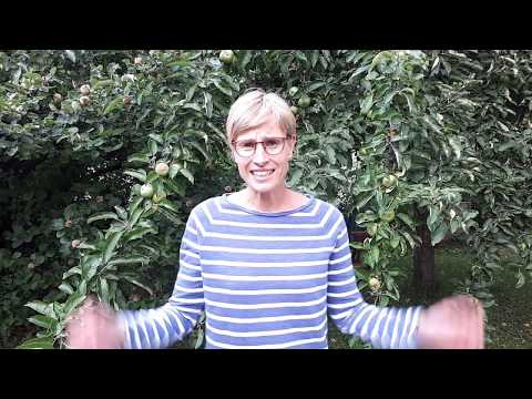 Bibelgeschichte: Die Schlange im Paradies