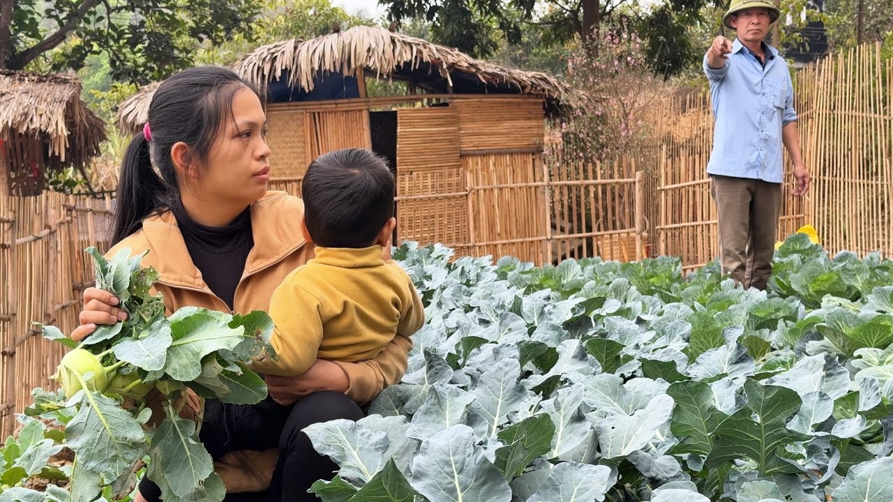 Landlord Has Forbidden It, But I Took My Vegetables to Feed My Children