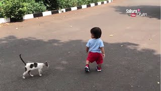 Download lagu Sakura - Awas Kucing !!! Funniest Video | Baby and Animals mp3