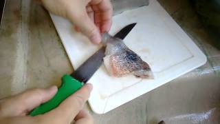 Como se faz para tirar o filé de peixe #porquinho#