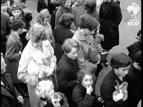 Animals Go To Church (1958)