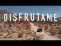 Alex Bravo Disfrutame Official Video