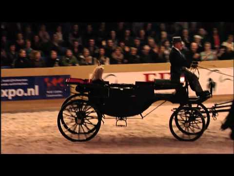 Hengstenkeuring 12-14 januari 2012