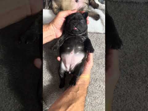 Video 1